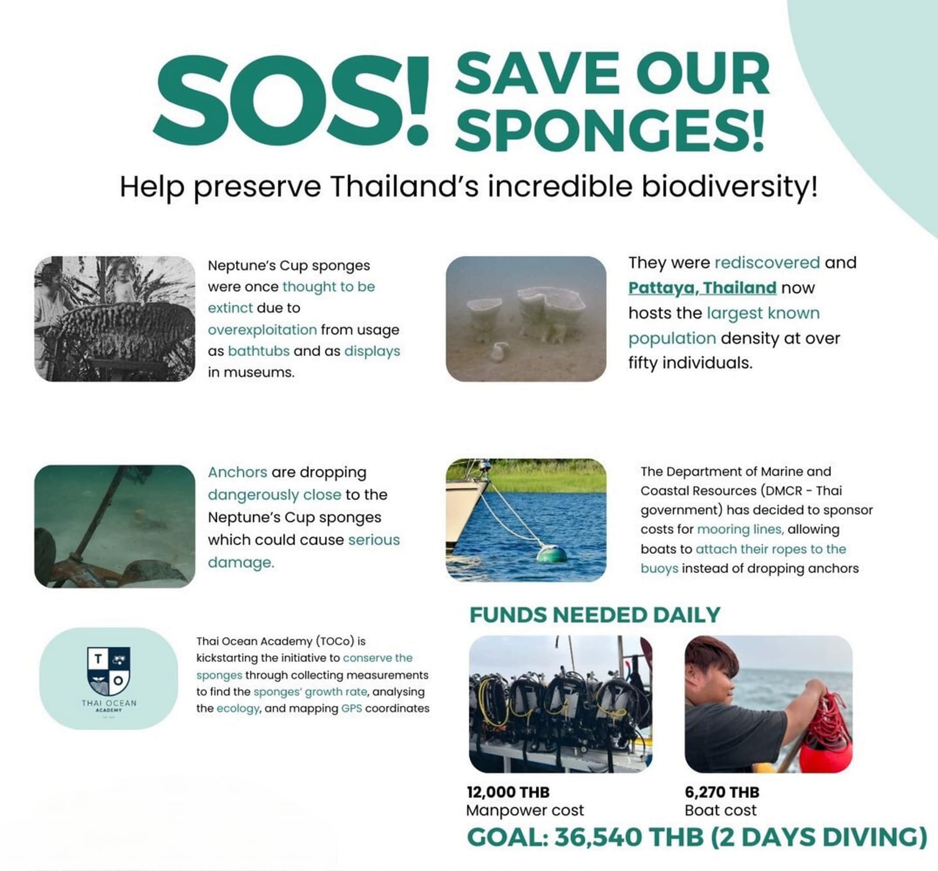 Save Our Sponges Campaign poster