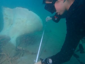 Measuring a Neptune's Cup for growth rate surveys