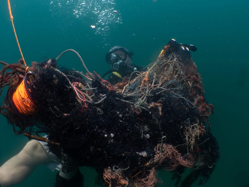 Marine Science internship Pattaya